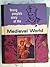 The Medieval World by V.M. Hillyer
