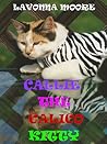 Callie The Calico Kitty