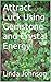 Attract Luck Using Gemstone and Crystal Energy