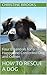 How To Rescue a Dog: Four E...