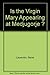 Is the Virgin Mary Appearing at Medjugorje ?