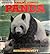 Panda by Susan Bonners