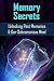 Memory Secrets by Chad Bowman