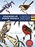 Songbirds of North America:...