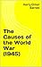 The Causes of the World War by Harry Elmer Barnes