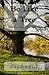 Be Like A Tree: The Keys to a Fruitful Life