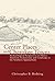 Center Places and Cherokee Towns: Archaeological Perspectives on Native American Architecture and Landscape in the Southern Appalachians