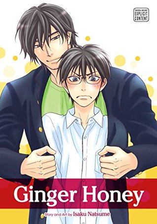 Ginger Honey (Kindle Edition)