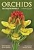 Orchids of South Africa: A ...