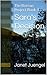 Sara's Decision: The Berean Project Book 4