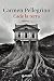Cade la terra (Italian Edition)