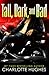 Tall, Dark and Bad by Charlotte Hughes