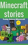 Minecraft Stories, Teddy Enters Minecraft