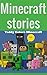 Minecraft Stories, Teddy Enters Minecraft by Scott K. Minecraft Stories, Teddy Enters Minecraft by Scott K.