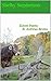 Eleven Poems: St. Andrews Review (St. Andrews Review: Digital & Print Chapbooks Book 1)