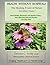 Health Without Hospitals: The Healing Power of Nature FIRST EDITION, Volume One (The Basic Foundation Book 1)