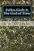 Fallen Gods 3 by R.A.O. Laster