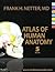 Atlas of Human Anatomy by Frank H. Netter