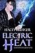 Electric Heat (Raven Investigations, #3)