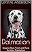 Dalmation: How to Own, Train and Care for Your Dalmation