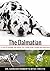 The Dalmatian: A vet's guide on how to care for your Dalmatian