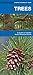 Trees: A Folding Pocket Guide to Familiar North American Species (A Pocket Naturalist Guide)
