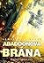 Abaddonova brána (Expanze, #3)