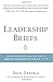 Leadership Briefs: Shaping Organizational Culture to Stretch Leadership Capacity