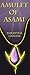 Amulet of Asami (The Legendary Relics series Book 1)