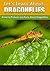 Dragonflies: Amazing Pictures and Facts About Dragonflies (Let's Learn About)
