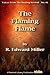 The Flaming Flame: The Story of Continued Revival in Argentina (Voices from the Healing Revival Book 81)
