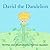 David the Dandelion