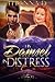 His Damsel in Distress (Cor...