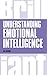 Understanding Emotional Intelligence (Brilliant Business)