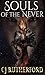 Souls of the Never (Tales of the Neverwar, #1)
