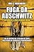 Fuga da Auschwitz by Joel C. Rosenberg
