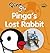 Pinga's Lost Rabbit