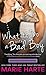 What to Do with a Bad Boy by Marie Harte