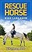 Rescue Horse (High Lane Far...
