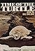 Time of the Turtle