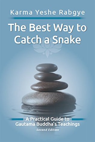 The Best Way to Catch a Snake: A Practical Guide To Gautama Buddha's Teachings