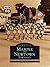 Marple and Newtown Townships (Images of America by Mike Mathis