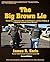 The Big Brown Lie: United Parcel Service’s War on its Worker’s and their Making of a Radical Teamster Union Member (Domestic Enemy, Inc. Book 1)