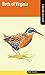 Birds of Virginia (Falcon Field Guide Series)