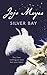 Silver Bay by Jojo Moyes