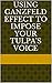Using Ganzfeld Effect to Impose Your Tulpa's Voice