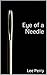Eye of a Needle (The Soul's Voice Book 3)