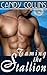 Taming the Stallion (Stetson Series, #1)