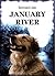 January River