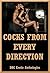 Cocks in Every Direction: Five Gang Bang Erotica Stories